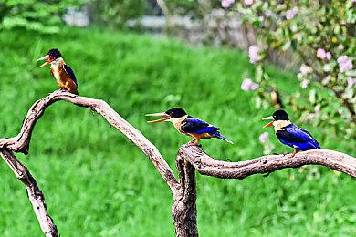 《武装幻想》《硬币之血》众筹突破100万美元 主机版确定开发