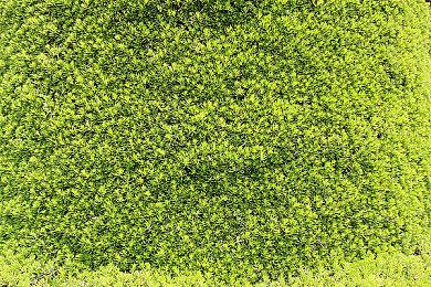 RTX3090运行《刺客信条：起源》8K+光追演示 画面很酷